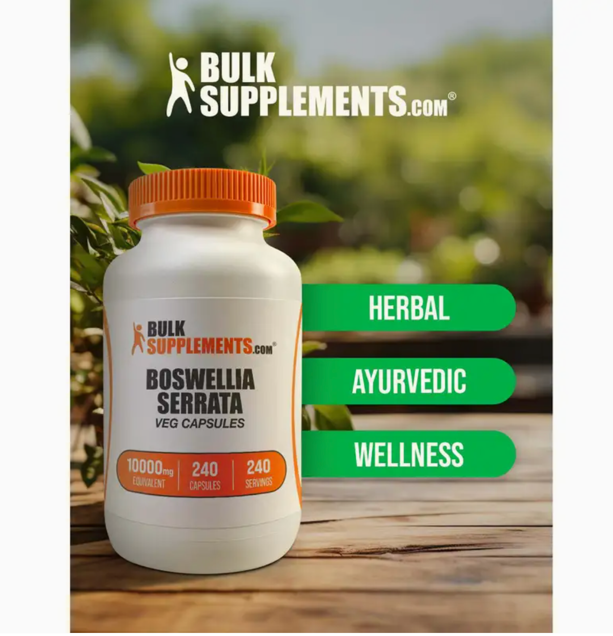 Boswellia Serrata Extract Capsules (240 caps)